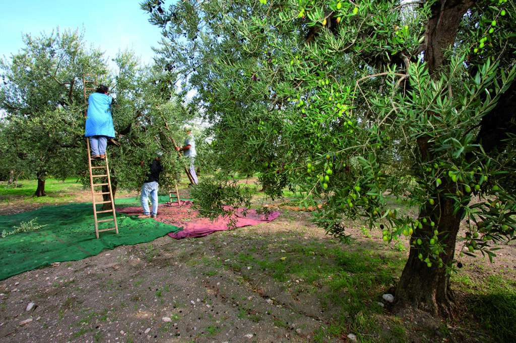 Puglia, muitas experiências para viver e descobrir